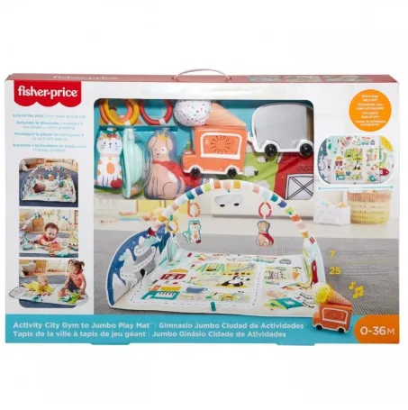 FISHER PRICE COVOR ACTIVITATI IN ORAS, MTGJD41