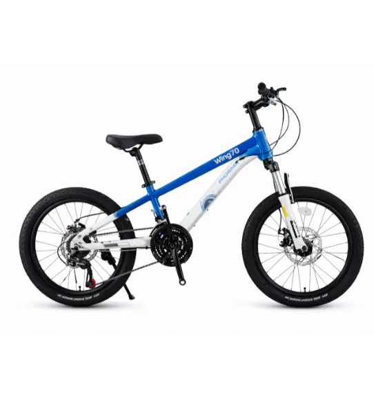 Bicicletă pentru copii cu două roți, 20 de inci, albastru-alb, cod 2362D
