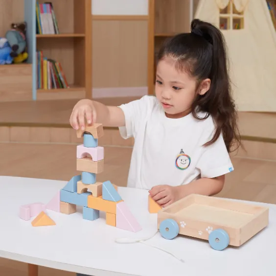 Jucărie de tras, cu șiret și set de construcție, 20 elem. Jucărie de tras, cu șiret și set de construcție, 20 elem.