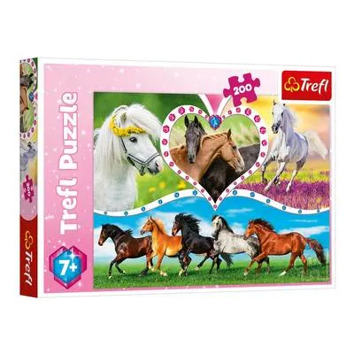 Cai minunați 200 el. art. 13248