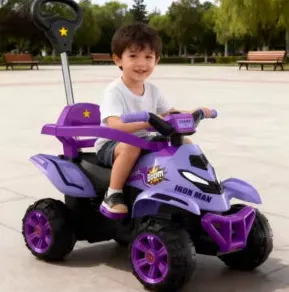Tolocar JT-287 (JCLF705) Violet