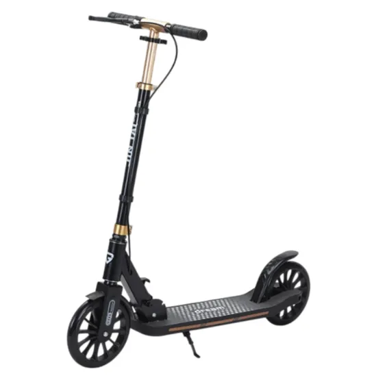 Trotinetă pentru copii cu 2 roți, frână de mână și ghidon reglabil, negru, RTM Scooter (95816)